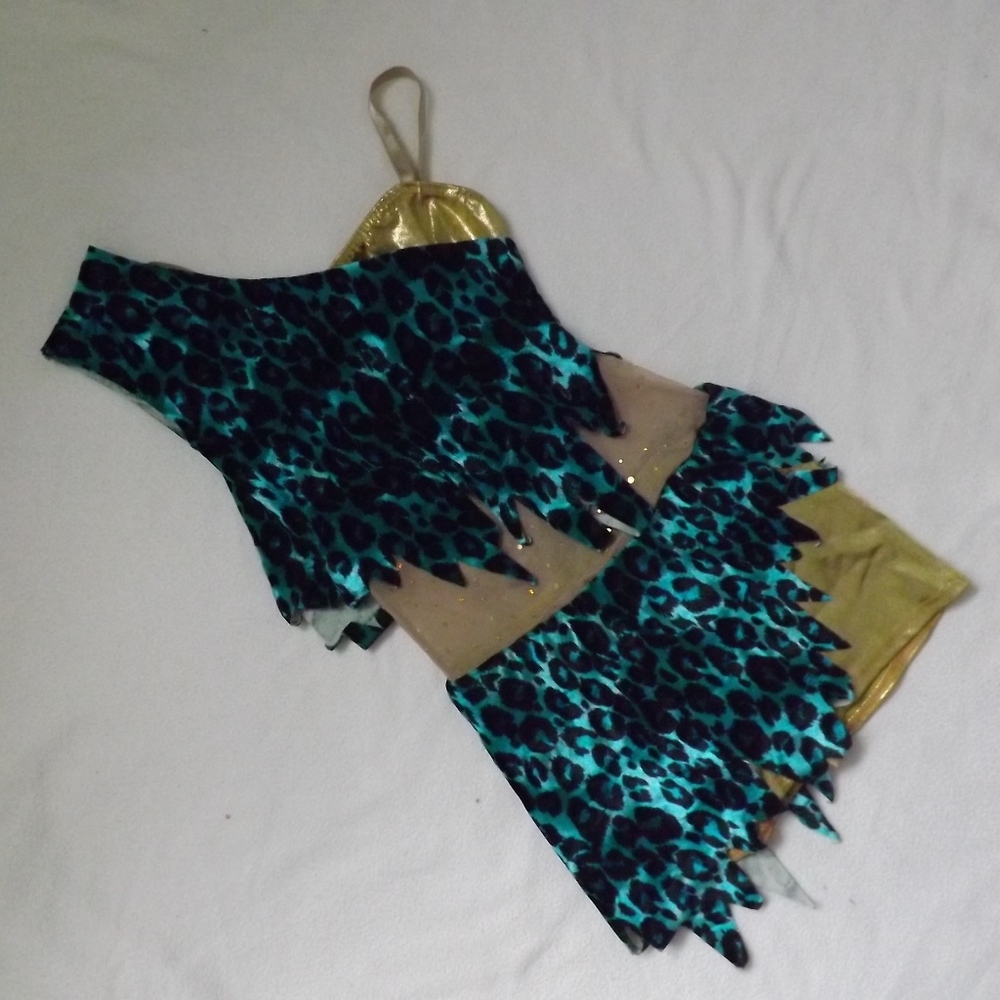 Blue and Gold Dance Costume